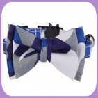 Collar-223